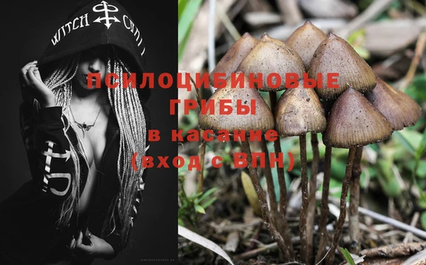 эйфоретик Касимов