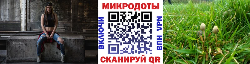 Купить  Окуловка  Галлюциногенные грибы Cubensis 